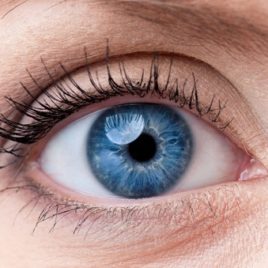 Rehaussement des cils